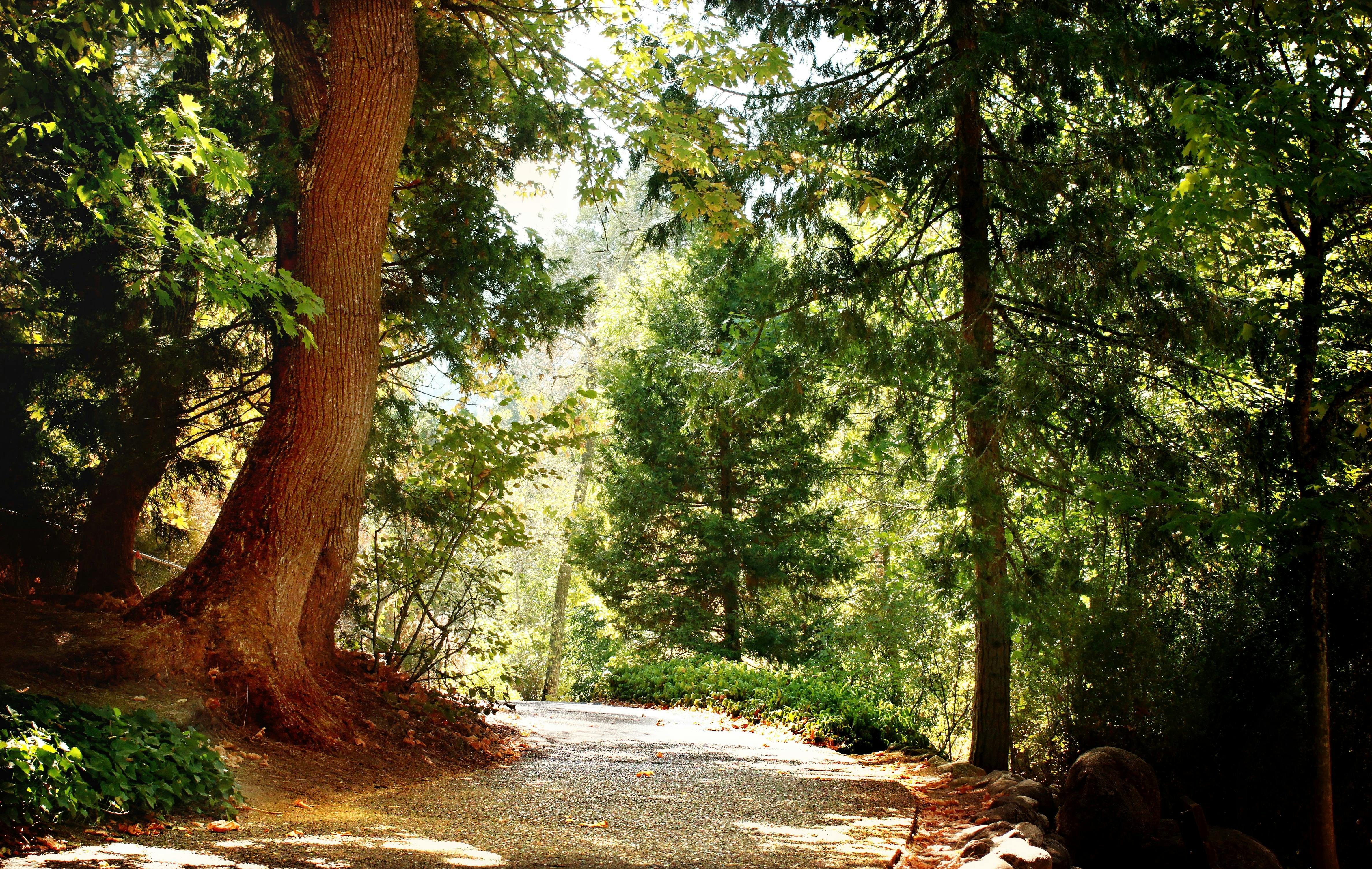 Nature Trail